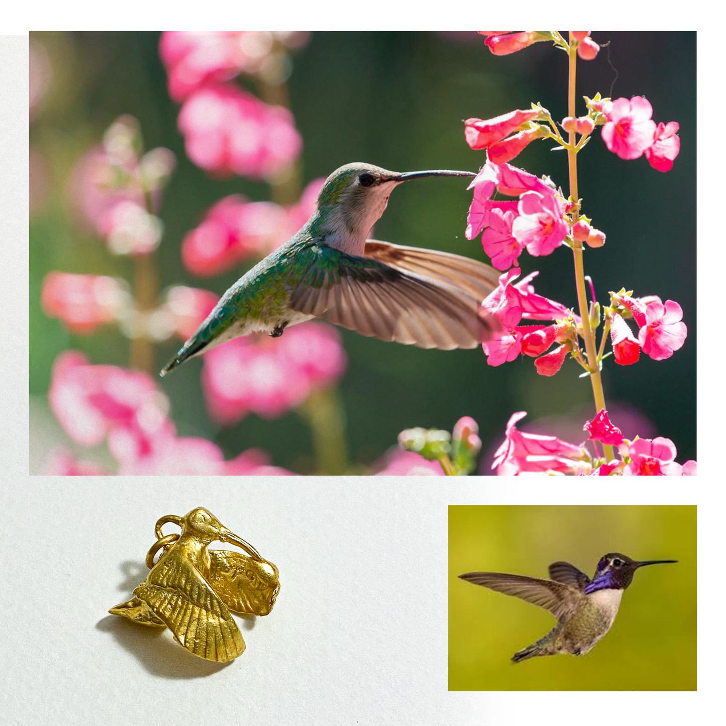 Hummingbirds, [Uç]