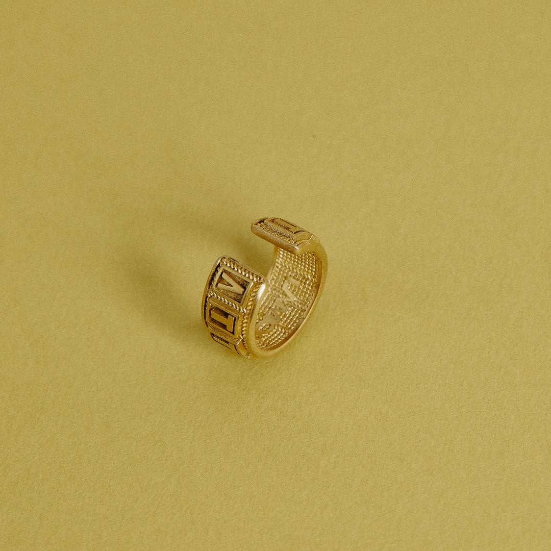 ATTCHMNT, [Earcuff]